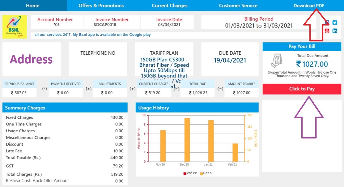 BSNL View Bill - Sample Bill Shown